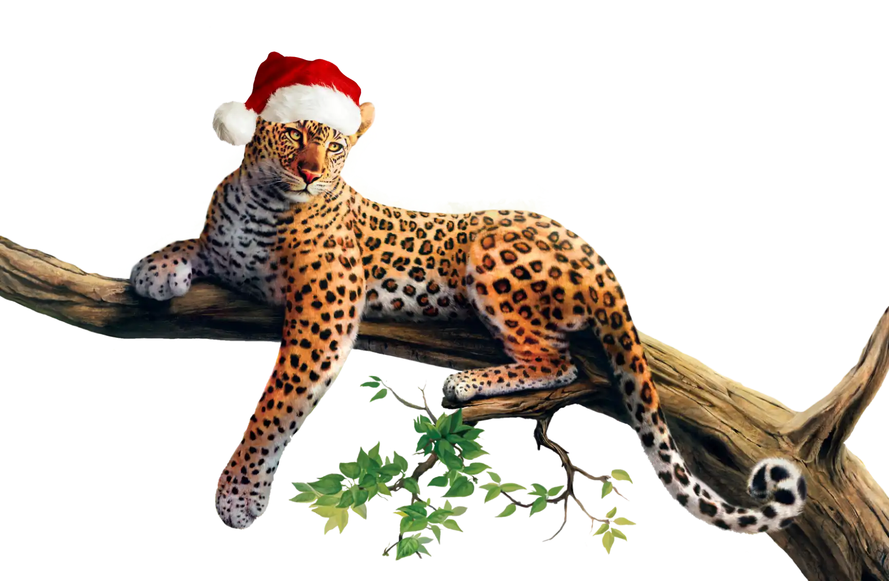 Заголовок